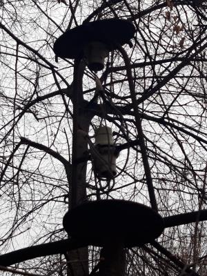 Прикрепленное изображение: z.jpg